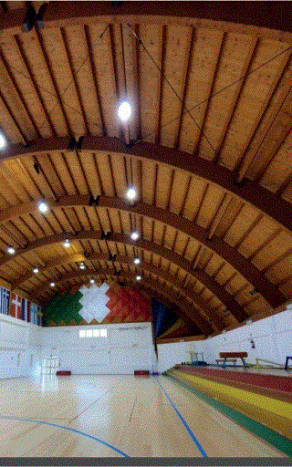 Palestra Elini