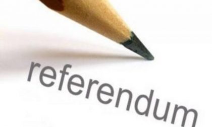 referendum-650x419-420x252